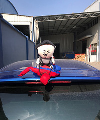 �����ϵ�֩�������������˿���