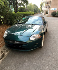 ����ʲô�����е�����