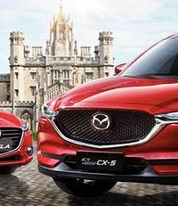 ��ϵ���������