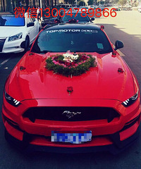 ���Կ���