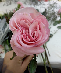 【新娘课堂·手捧花】为自己做一束幸运花束