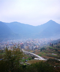 ţͷկ��ŵ������ٺ�����ɽ������ͤ�����Դ��