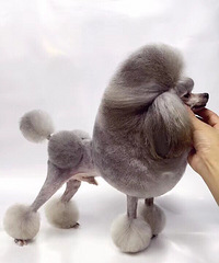 ΢С���̩�� ����