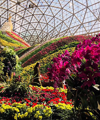 ���۸��᡿���Ƕ����������ٰ�Ƶģ�