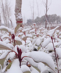 ���۸��᡿ͬѧ��Ҫ��Ҫ�μ�