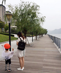 ��2017�����ܽ᡿��ϲ�������䵭���ˣ�����ֻ��֪�����Ѷ���