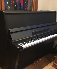 ����˹����5800Ԫ