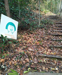 ��2017�����ܽ᡿Ī�����粫��ʯ�����Ρ���״����