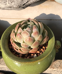 ��̨������