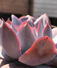 �д���ǿ�����ռ���