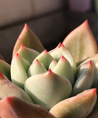 �д���ǿ�����ռ���