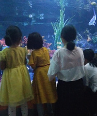 ��2017�����ܽ᡿��ʶ��һ�Ժ������ķ��ޣ�Ĭ���ȸߵ�����