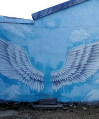 ��2017�����ܽ᡿�ź�ûȥ����ѧ���ݳ���