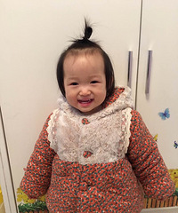 ��2017�����ܽ᡿��̥�ʸ�����о������ᣬ������