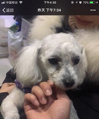 ��ɫ���߶����̩�ϱ���