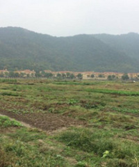 ΰ��29900��ժ�ٺ�����������ס�� ¥���Լ5748Ԫ/ƽ