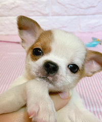 ����2���¼����� 700һ��