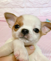 ����2���¼����� 700һ��