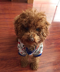 ̨�ݣ��������Ҹ�ŮŮ