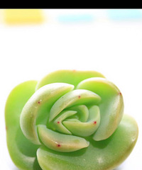 ������⣬̨�������ߵĶ���