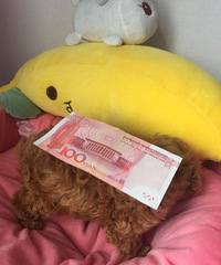 С�豭�����¼ң�