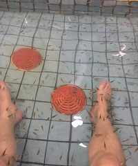 ˬ���ᡭ��