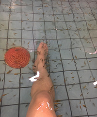 ˬ���ᡭ��