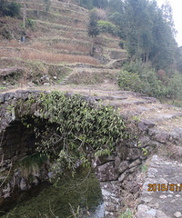 寻找茫茫大山深处的台丽温界碑