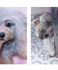 ����̩�ϳ���