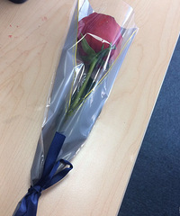 ��2017�����ܽ᡿���������������� �Ƕ������¶�