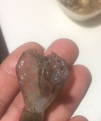 鱼家/食记 本来是想水煮就算了