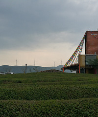 �����Լ� ����2���� ������������