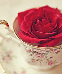 89����������162����ҵ������н10-15w