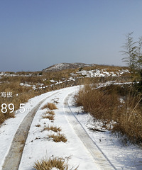 踏雪南蒋古村 独赏寒岗雪景