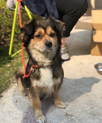 ����С�̹�������