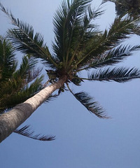 ����Ϊ����׼��20000Ԫ���������Ĺ�����