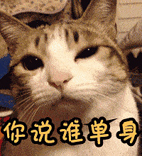 ����������ס���¼����Ȥ��С������㷢����Ŷ~