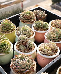 ��һ��������������գ�