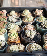 ��һ��������������գ�