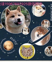 ̨�ݾ�Ʒ��Ȯ