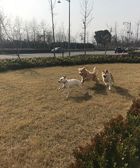 �����ã����������