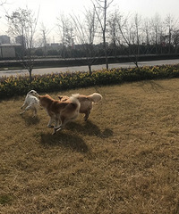 �����ã����������