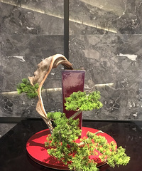 �ҵ����մ�û��������