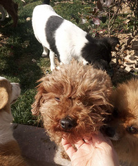 @�����˶���ʮ��������һ��ʮ��������ڽ�