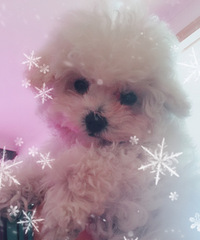 ���۱��ܹ� 3�������� ���������� ���۸�˽��