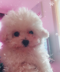 ���۱��ܹ� 3�������� ���������� ���۸�˽��