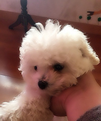 300 ���� ��������