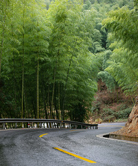 "【狗年春节随手拍】+又见梨花村"