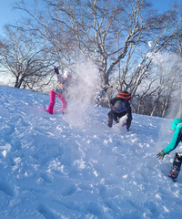 圆一个冰雪世界的梦