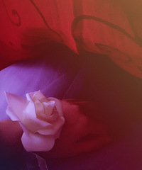 ���µ��������ǵ���������������Χ���˺ͻ���